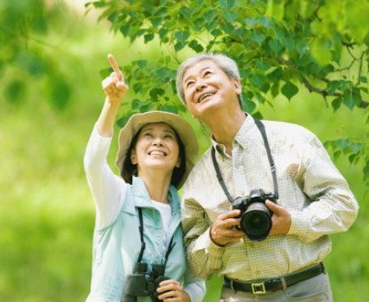 春季养生好时节 老年人养什么？