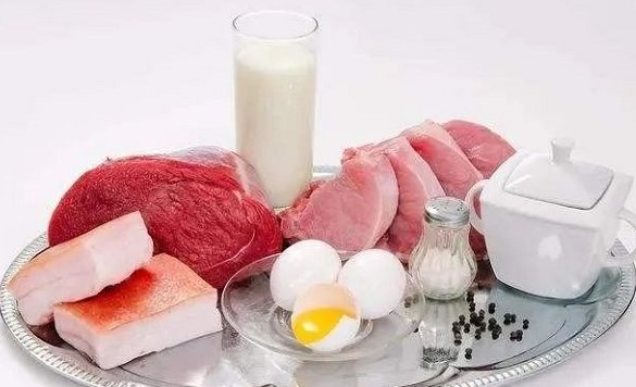 养老=优质蛋白十佳食物