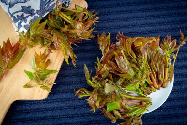 老年人，春天 不能错过这类蔬菜