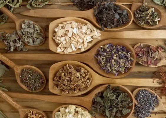 中老年人，随意服用中成药的陋习要改