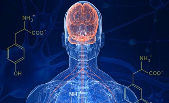 医学专家提醒：碎片化快乐带来“多巴胺陷阱”